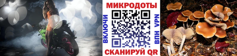 Псилоцибиновые грибы ЛСД  закладка  Шебекино 